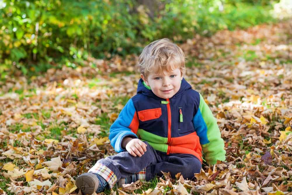 German boy kid sitting on ground full of autumn leaves