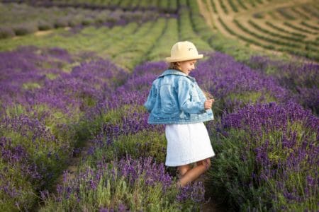 Polish girl child in white dress and jacket standing in lavender field