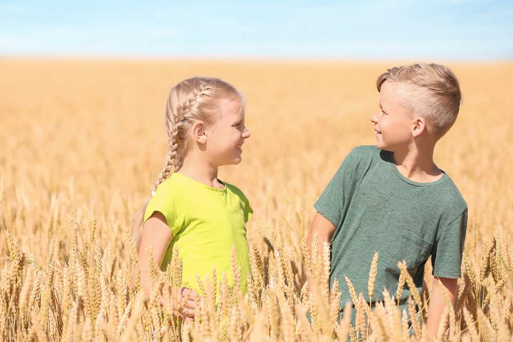 Two cute little children in wheat field on sunny day