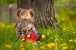 Lovely little girl playing with cat in the park