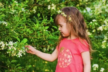 Cute toddler girl touching flowers in the garden