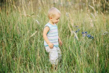 Blonde toddler boy walking in meadow
