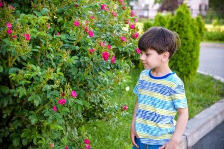 Little boy standing beside flowery garden