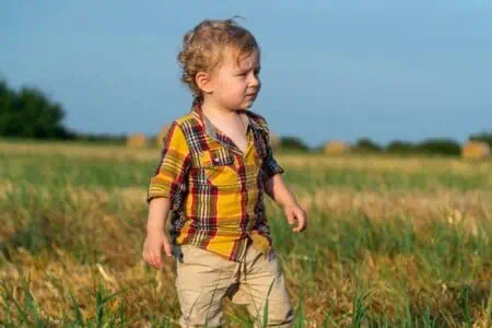Little curly haired boy walking on wheat field