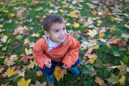 Adorable boy sitting with autumn leaves on the ground